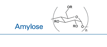 Amylose backbone structure