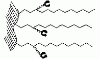 Complex functional group on the stationary phase