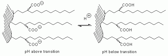 Carboxylic acid groups on the stationary phase: ionized above the transition pH, neutral below it